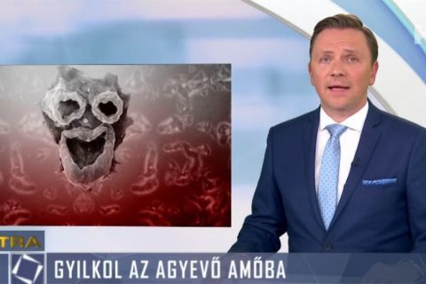 Bojkottot hirdet a Jobbik a fideszes hazugsággyárak ellen