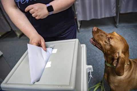 Szavazó kutyájával az európai parlamenti választáson a II. Rákóczi Ferenc Gimnáziumban kialakított 11-es szavazókörben 2019. május 26-án.