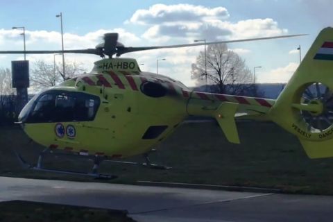 Mentőhelikopter érkezett egy vámosmikolai férfihoz, akit majdnem halálra csípett egy darázs