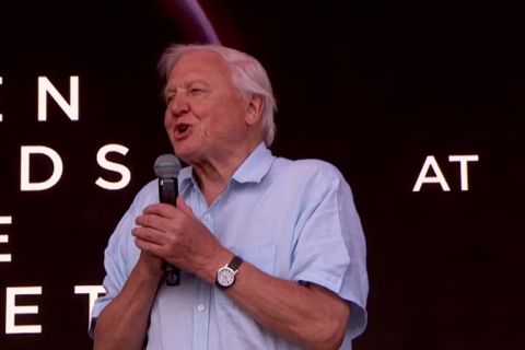 Óriási üdvrivalgás fogadta David Attenborought a Glastonbury fesztiválon