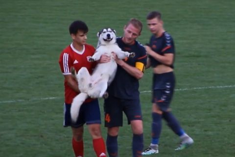 Egy kajla kutya miatt kellett megállítani a Sárisáp-Esztergom focimeccset
