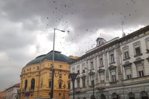 Letarolta a vihar Szegedet, életveszélyes sérült is van