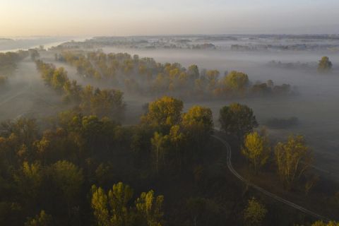 Köd a Szentendrei-szigeten, Surány határában 2019. október 19-én.