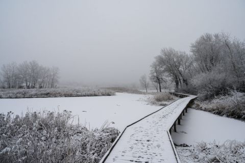 Hó borítja a tanösvényt a helyi és országos védettséget is élvező Sóstó természetvédelmi területen Székesfehérváron 2020. január 14-én.
