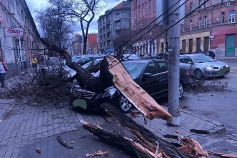 Fa dőlt egy autóra Budapesten, a VII. kerületi Orczy úton 2020. február 4-én.