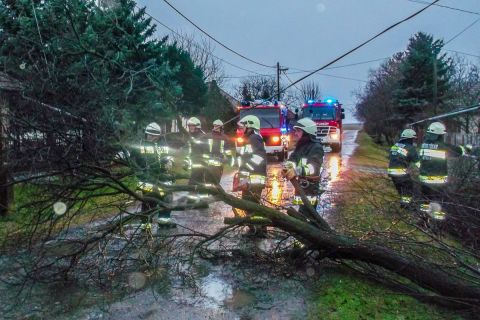 Pusztít a viharos szél, kórházra dőlt egy fa Budapesten