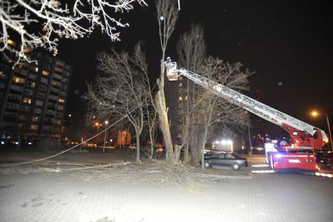 A viharos szélben megsérült fát vágnak ki a tűzoltók a IV. kerületi Rózsa utcában 2020. február 4-én.