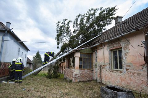 Tűzoltók házra dőlt fát távolítanak el vihar után a Zala megyei Söjtörön, a Deák Ferenc utcán 2020. február 10-én.