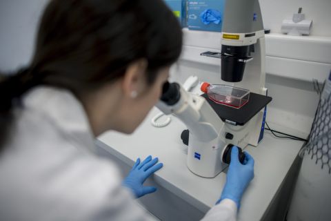 A Pécsi Tudományegyetem Szentágothai János Kutatóközpont virológiai kutatócsoportjának munkatársa mikroszkópon ellenőrzi a kutatáshoz használt sejteket a központ laboratóriumában Pécsen 2020. február 7-én.