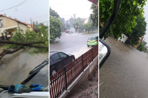 Elverte a vihar Budapestet, anyára és lányára dőlt egy fa