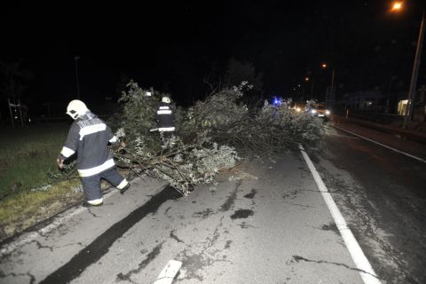 Tűzoltók távolítják el a vihar miatt az úttestre dőlt, kitört fákat Dunakeszi és Göd között 2020. augusztus 29-én.