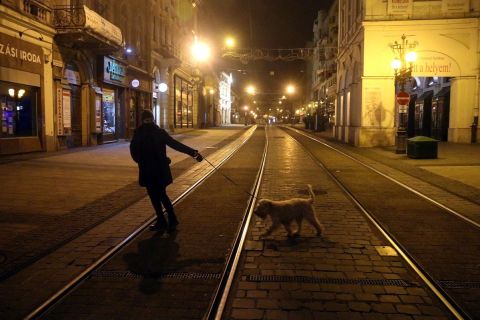 Kutyát sétáltat egy nő a miskolci Széchenyi utcában a kijárási tilalom idején 2020. november 14-én este.