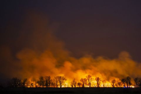 Az égő nádas Fonyód külterületén 2021. február 27-én éjjel. A tüzet február 28-án hajnalra eloltották; mintegy százhúsz hektáron égett le a terület.