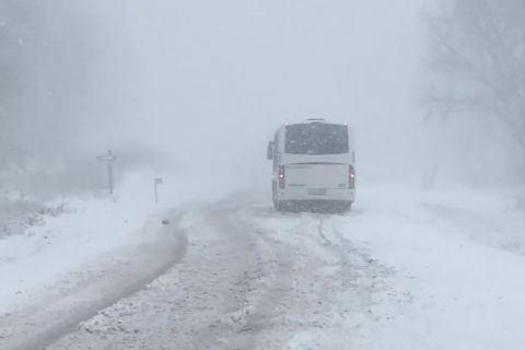 Elakadt busz a Bakonyban.