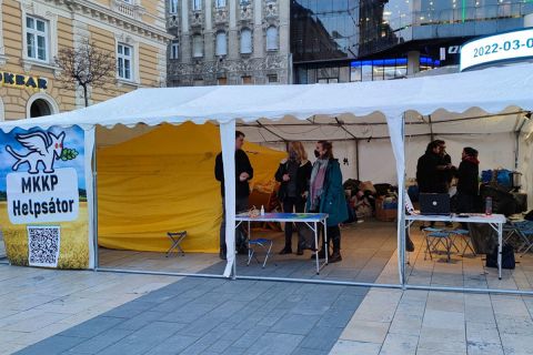 Ukrajnai menekülteket segítő kutyapártos sátor Budapesten, a Nyugati téren.