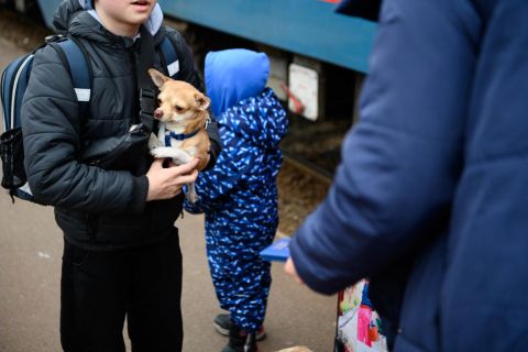 Ukrajnai menekült gyerekek kiskutyájukkal.