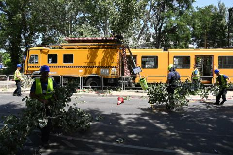 Villamosra dőlt fát távolítanak el tűzoltók a főváros X. kerületében, a Maglódi út és a Lavotta utca kereszteződésénél lévő megállóban 2022. június 30-án.
