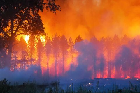 Tűzoltók oltják 2022. július 13-án az Izsák és Soltszentimre közötti erdőben délután keletkezett tüzet.