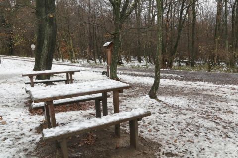 Havas erdő a Soproni-hegység Muck magaslatán 2022. november 23-án.