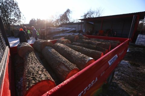 Tűzifa a Pest megyei Csörögön 2022. december 12-én.