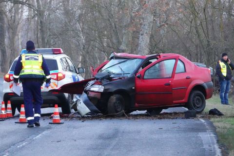 Az útról lesodródott és fának ütközött, összeroncsolódott személyautó az 5-ös főúton Kistelek és Pusztaszer között 2023. december 21-én.