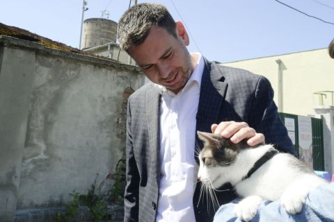 Vitézy Dávid, az LMP és a Vitézy Dáviddal Budapestért Egyesület által támogatott főpolgármester-jelölt egy mentett macskát simogat a Budapest mutasson példát állatvédelemből! címmel tartott sajtótájékoztatóján a FÖRI Állategészségügyi Szolgálat Illatos úti állatbefogadó telepe előtt 2024. május 13-án.