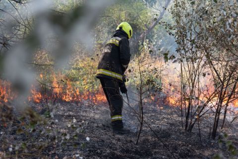 Nagy területen ég az aljnövényzet Budapesten a III. kerületben