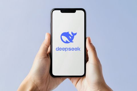 DeepSeel