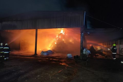 lajosmizse-orkeny-tuz