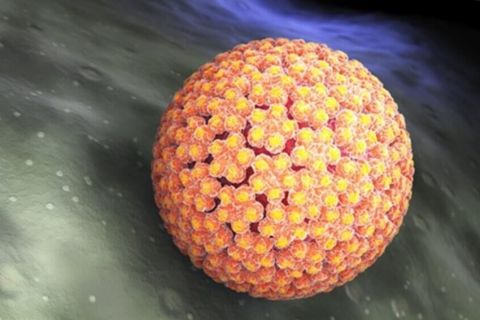 Mit kell tudni a HPV-ről? Miért lehet veszélyes?