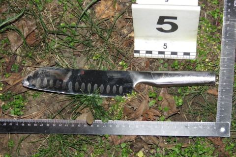 nyiregyhaza-keses-tamado