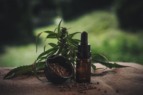 A CBD hatása a gyomorfekély és gyomorpanaszok enyhítésére