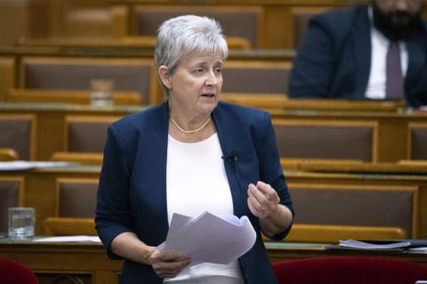 Lannert Judit: megszűnik a pedagógusképzés a Nemzeti Közszolgálati Egyetemen