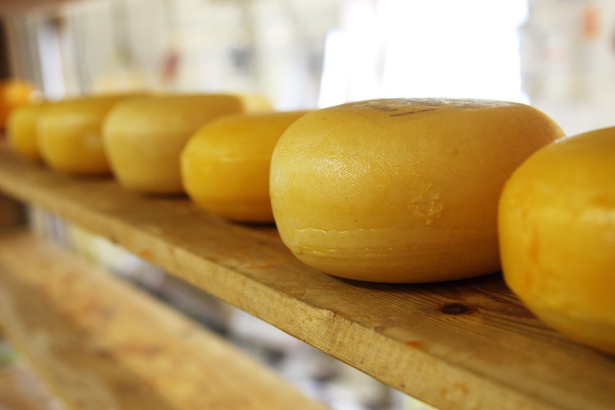 Mennyiségi korlátozást vezetett be a trappista sajtra egy magyar áruházlánc