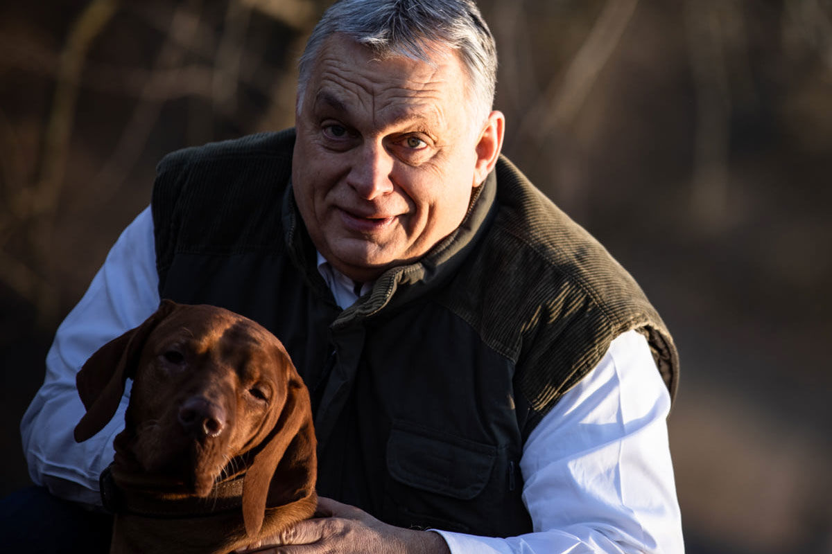 Orbán Viktor kutyát dögönyöz.