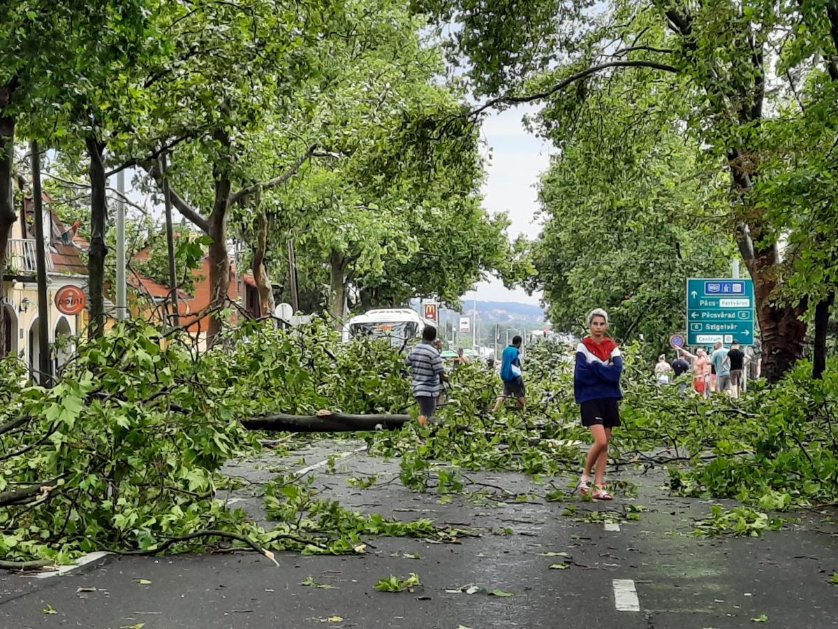 Pécs keleti része, a Komlói út a vasárnapi vihar után.