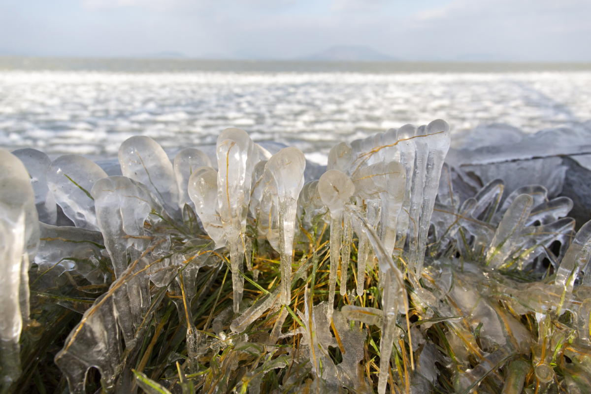 Fűre fagyott jég Balatonfenyvesen, a Balaton-parton 2022. január 12-én.