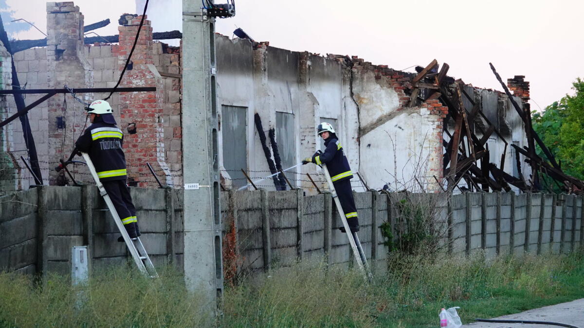 Tűzoltók dolgoznak egy faipari üzemben keletkezett tűz oltásának utómunkálatain Magyarbánhegyesen 2022. augusztus 11-én.
