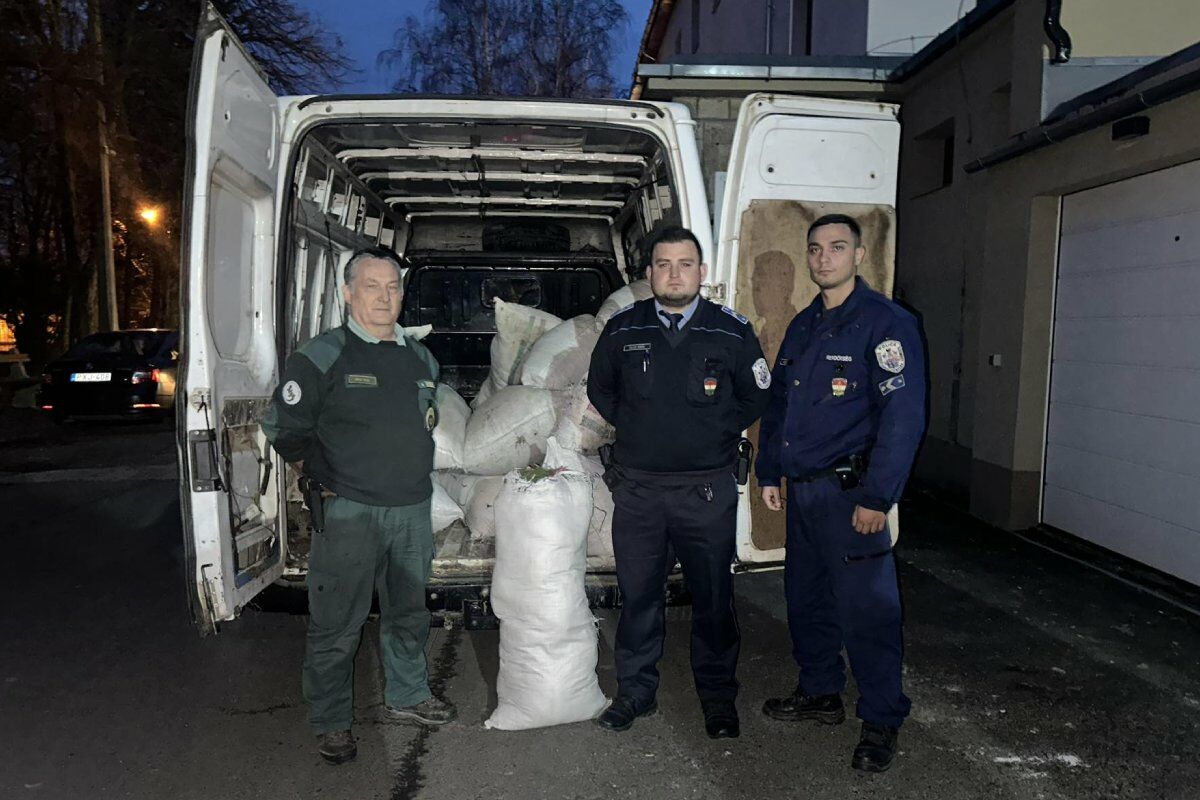 Mohabűnözés Szerencsen: 1,3 millió forint értékű, engedély nélkül szedett mohát találtak egy teherautóban