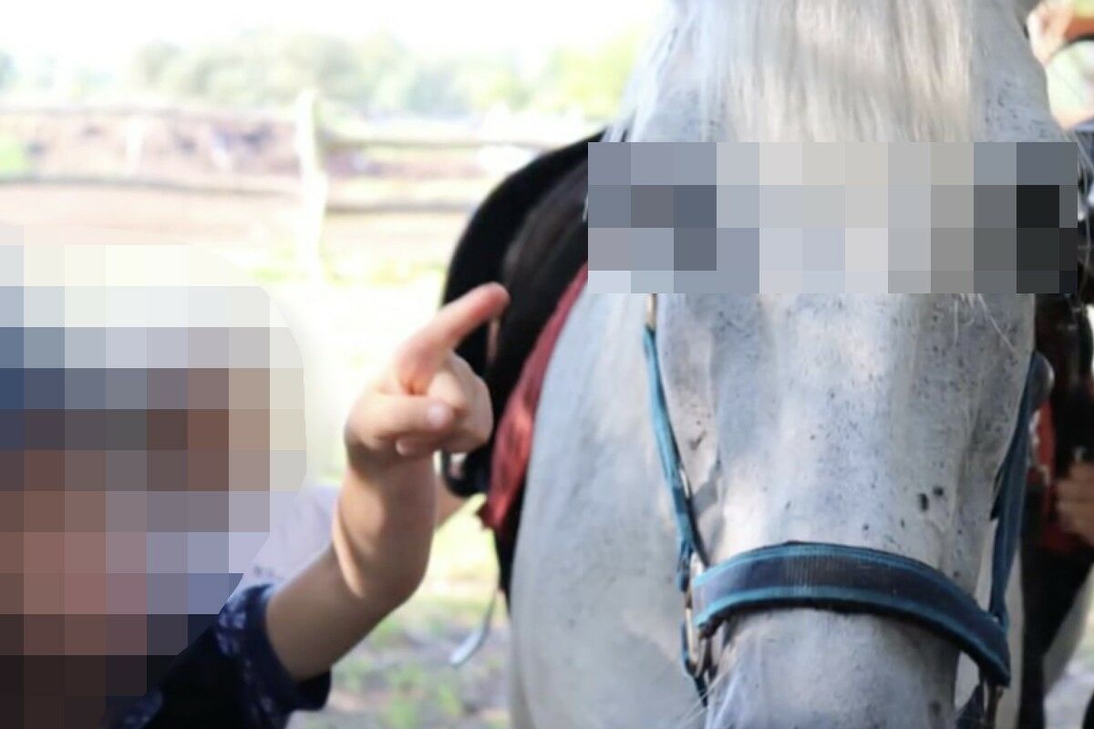Ló rúgott fejbe egy kislányt a Balatonnál, mentőhelikopter szállította kórházba
