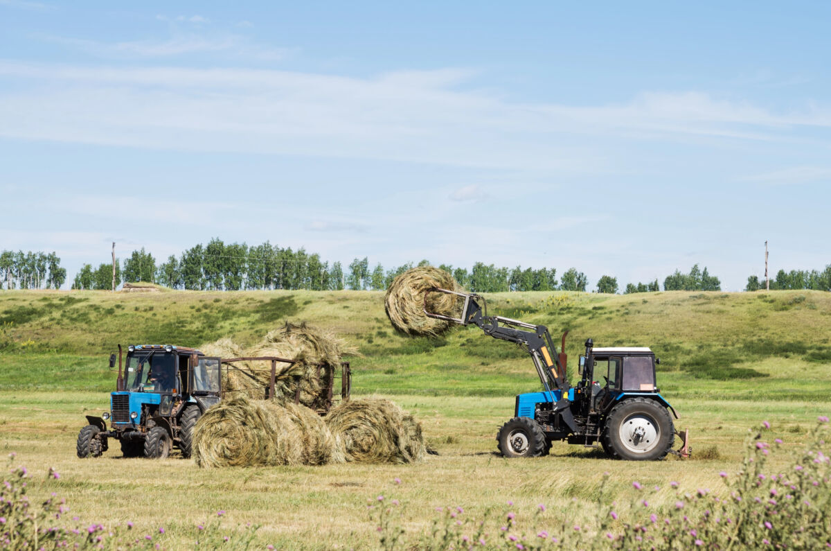 mezőgazdaság; traktor; földművelés