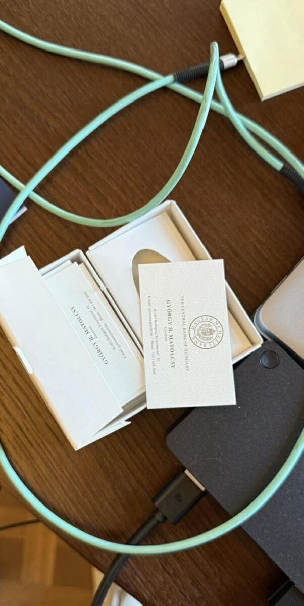 matolcsy-arany-budi-7