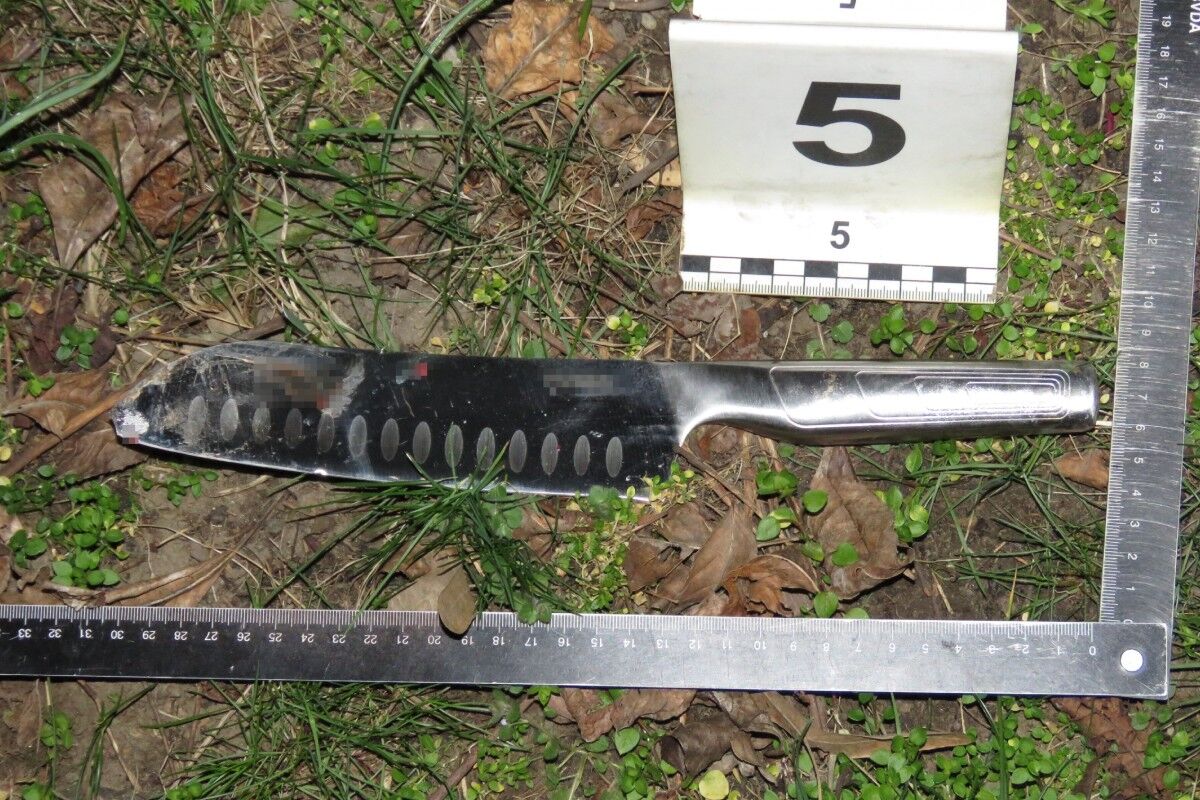 nyiregyhaza-keses-tamado