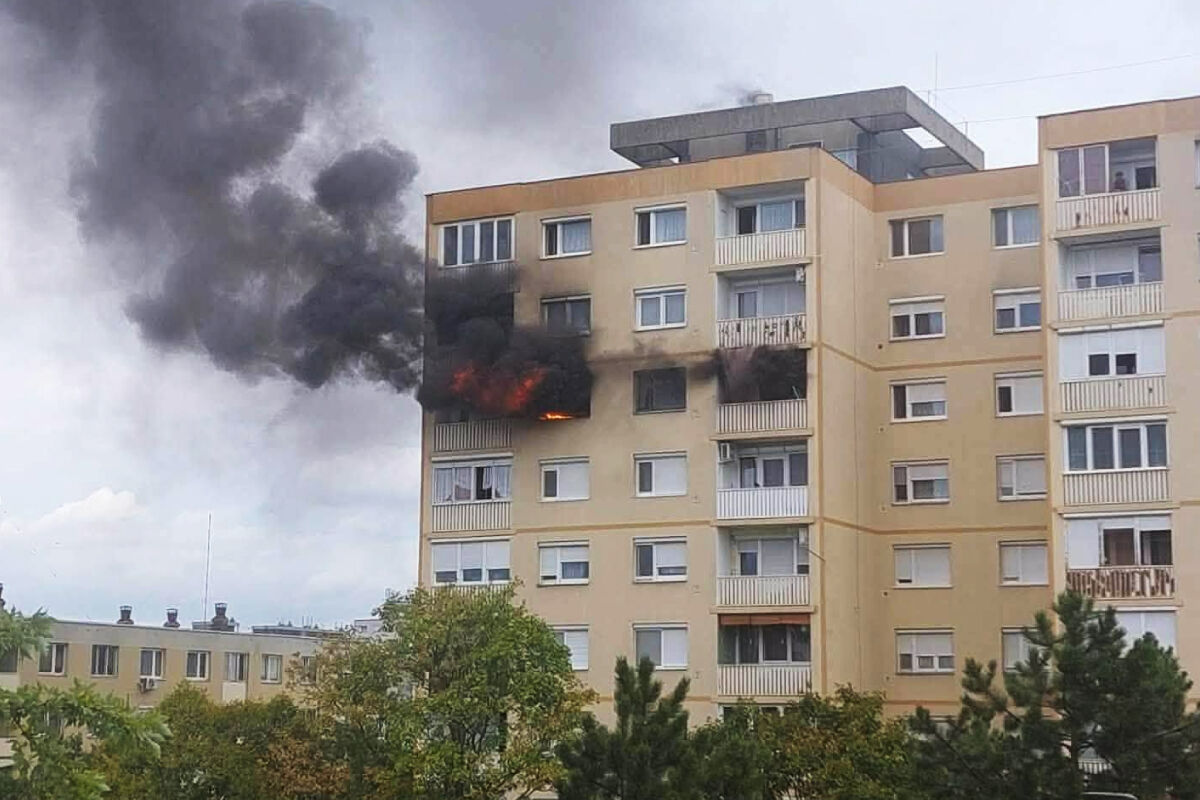 tuz-szekesfehervar (1)